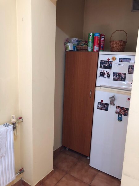 Dristor, Camil Ressu.